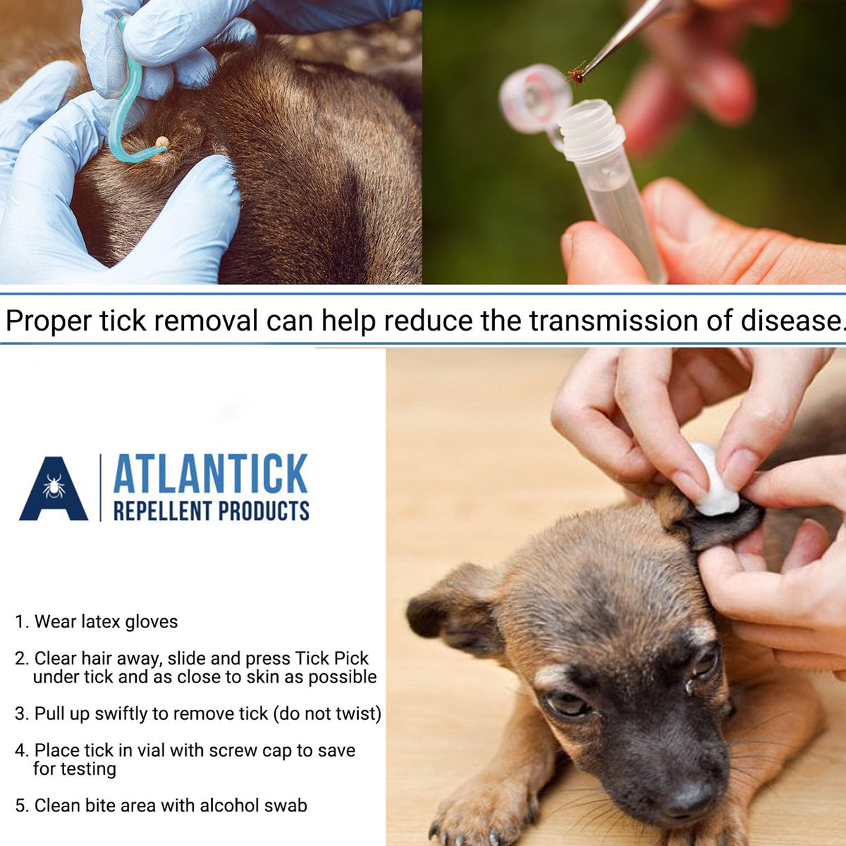 AtlanTick Tick ID & Removal
