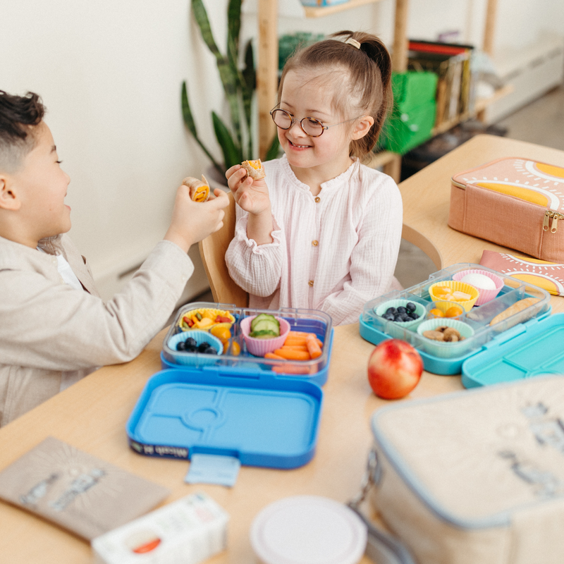 Muted Sunrise Clay Lunch Box