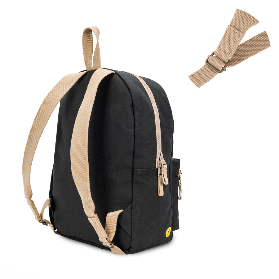 B Packs - Carbon