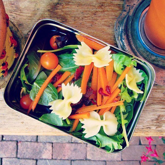 Solo Rectangle (29oz) - Leaves