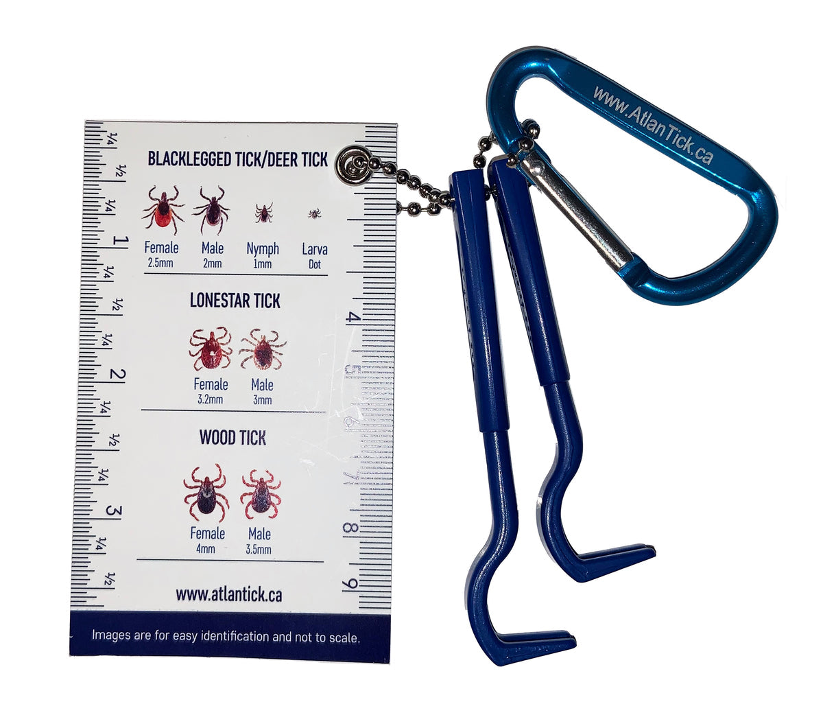 AtlanTick Tick Removal Kit