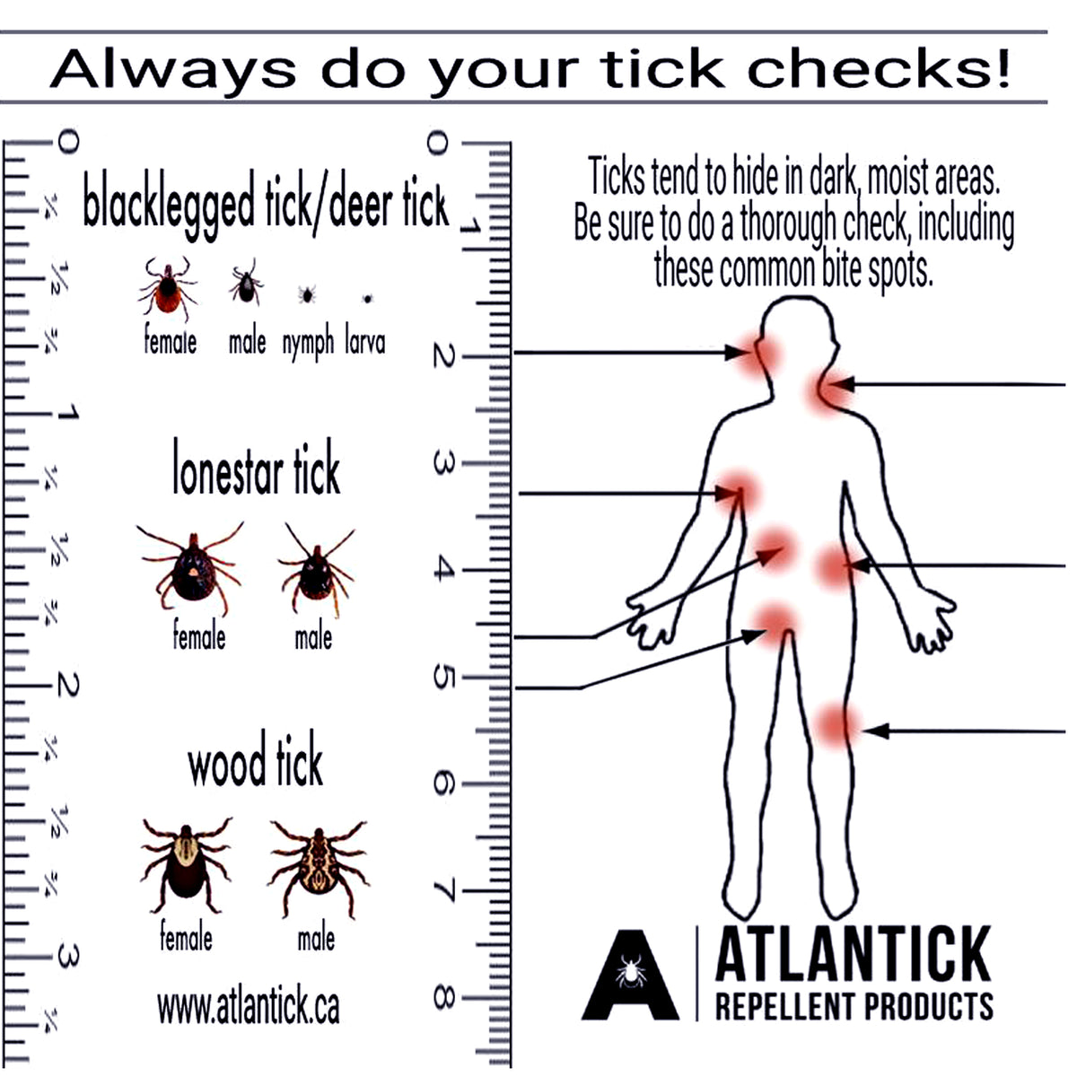 AtlanTick Tick Removal Kit